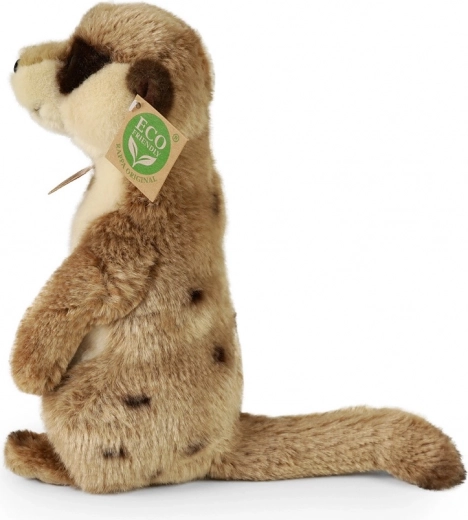 Екологичен подход