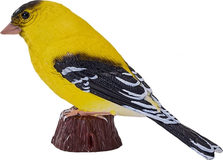 True-to-life Eurasian siskin appearance