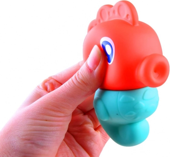 Образователен морски конч