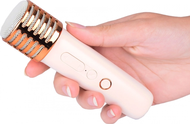 Караоке с приятели