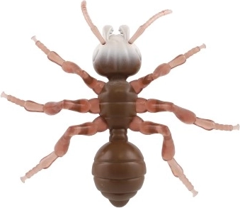 Подходящ и за деца