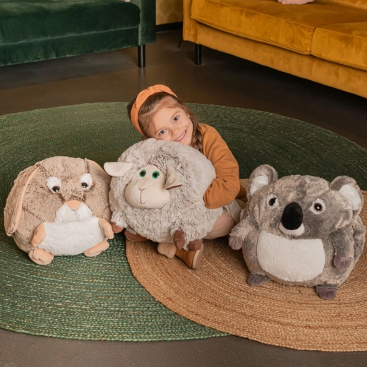 Спътник за път и за дома