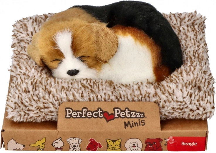 Реалистично спящ бигъл