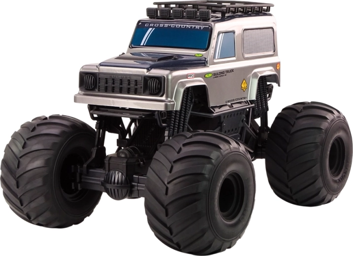 Robust Construction