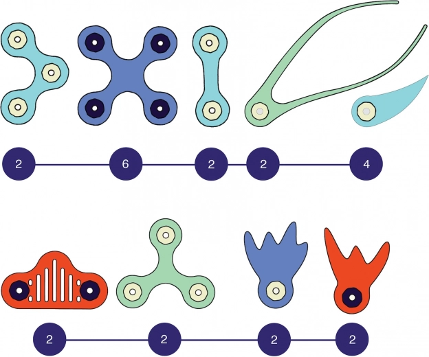 Гъвкави форми и силни магнити
