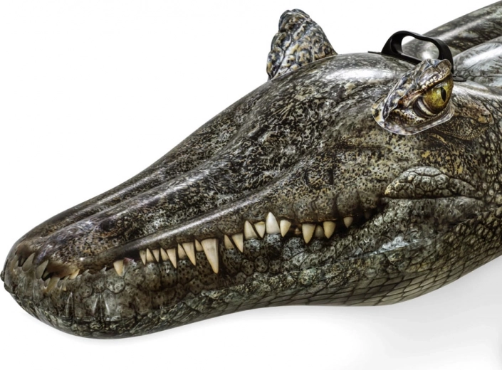 Реалистична визия, много забавление