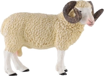 Образователна стойност