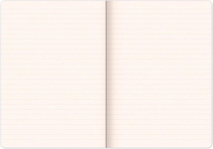 Гладко писане върху хартия 100 g/m²