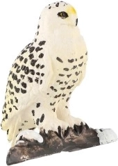 Lifelike details of an Arctic raptor