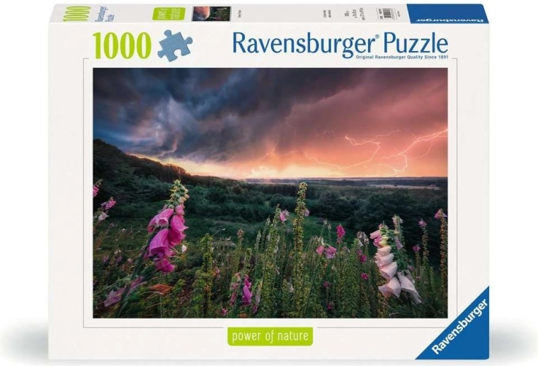 Качество RAVENSBURGER от 1891 г.