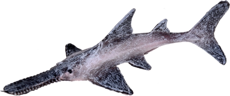 Образователна играчка