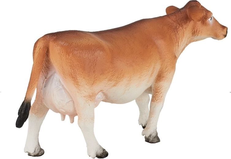 Ideal for educational purposes