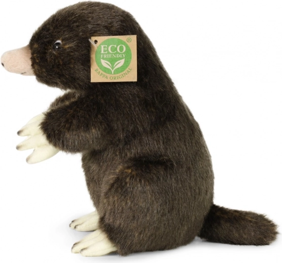 Безопасност на първо място