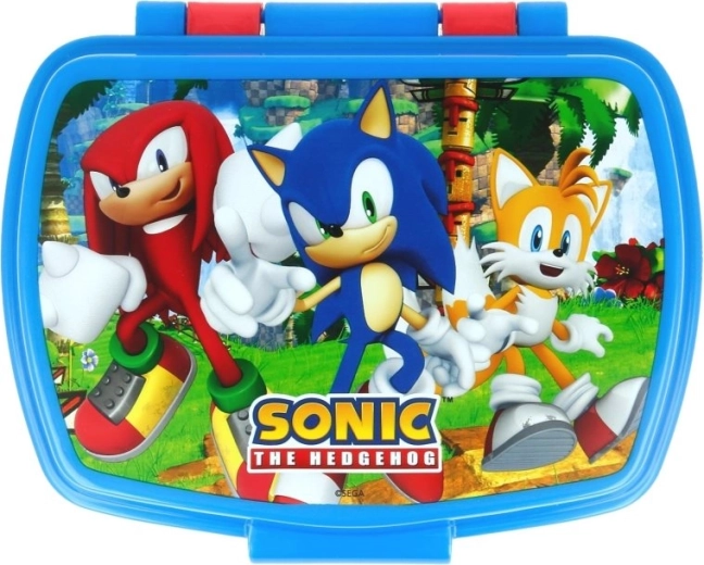 Fun design for SONIC fans