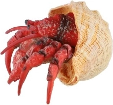 Компактен размер 7 см и универсална употреба