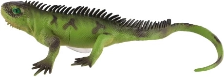 Разнообразни цветове