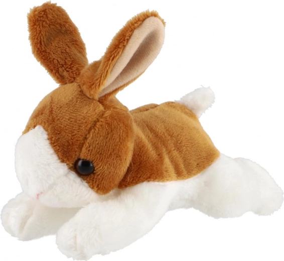 Очарователни, реалистични детайли