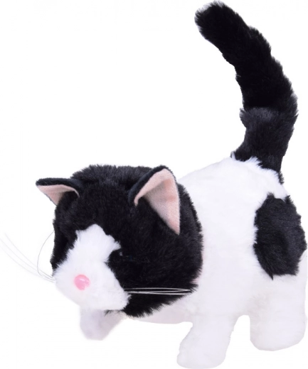 Реалистични функции за повече забавление