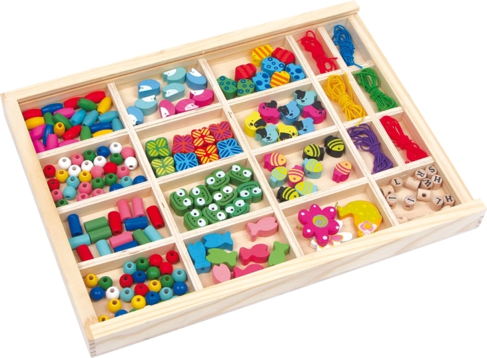Clear organization in 19 compartments