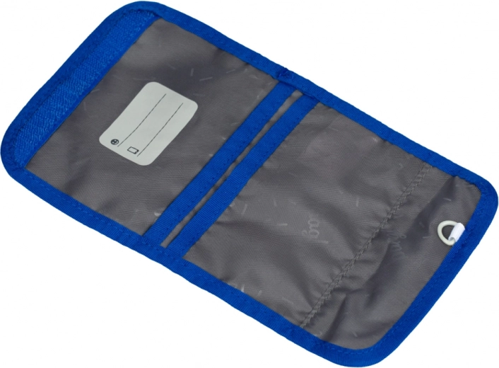 Прегледна вътрешна организация