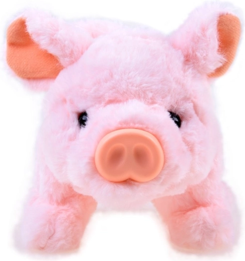 Сладък спътник