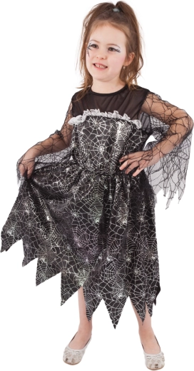 Stylish spiderweb design for Halloween and carnival
