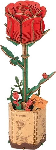 Уникална реалистична визия