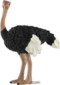 Образователна стойност