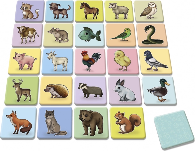 Цветни и качествени илюстрации