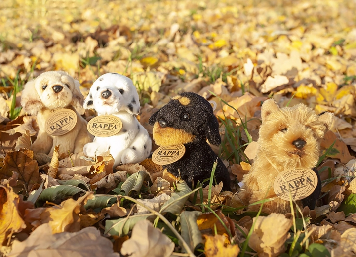 Безопасност и качество