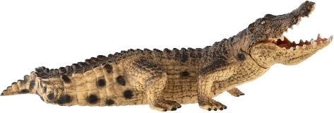 Реалистични детайли и естествени цветове