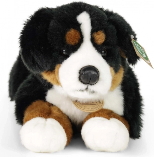 Нежен, мек и гушлив