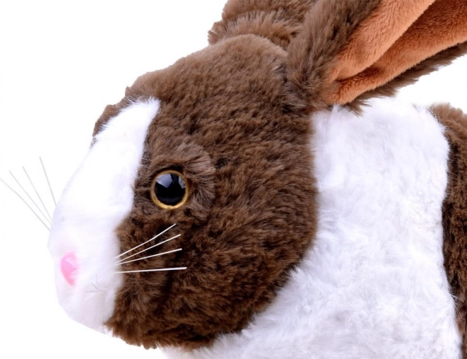 Реалистична визия и мек плюш