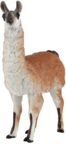 Идеална за обучение и като декорация