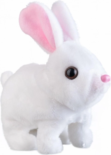 Скача, движи ушите и „говори“