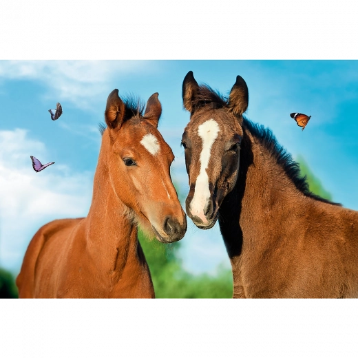 Цялостна картина с малки животни