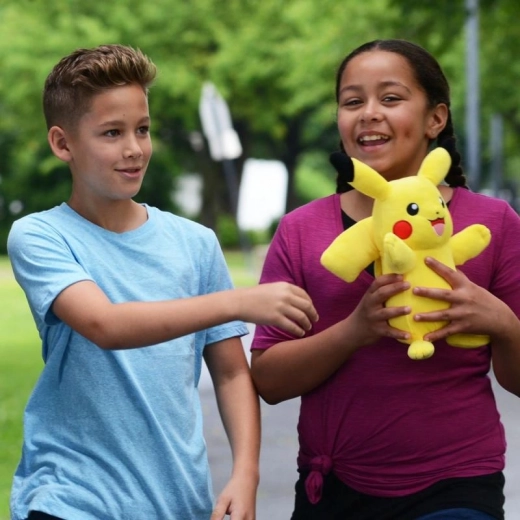 Спътник за у дома и навън