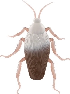 Реалистична изработка