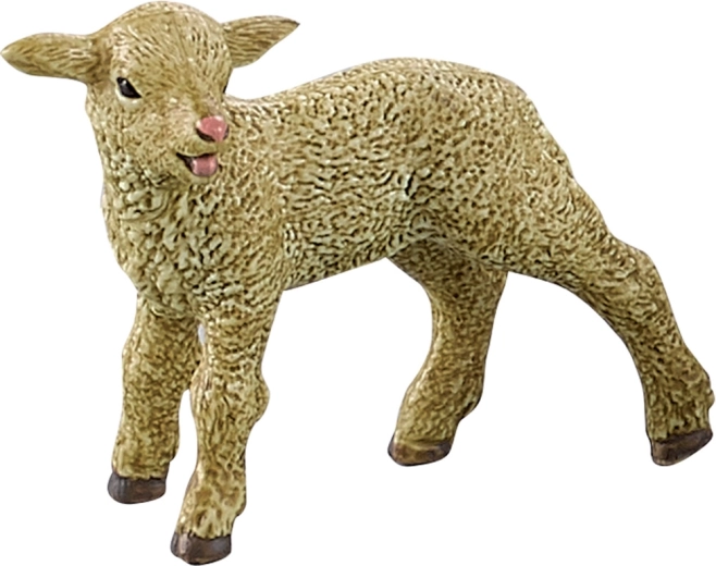 Реалистично агне