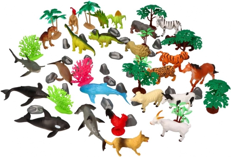 Diversity of the animal world