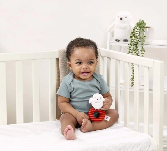 Другар за път и за кошарата