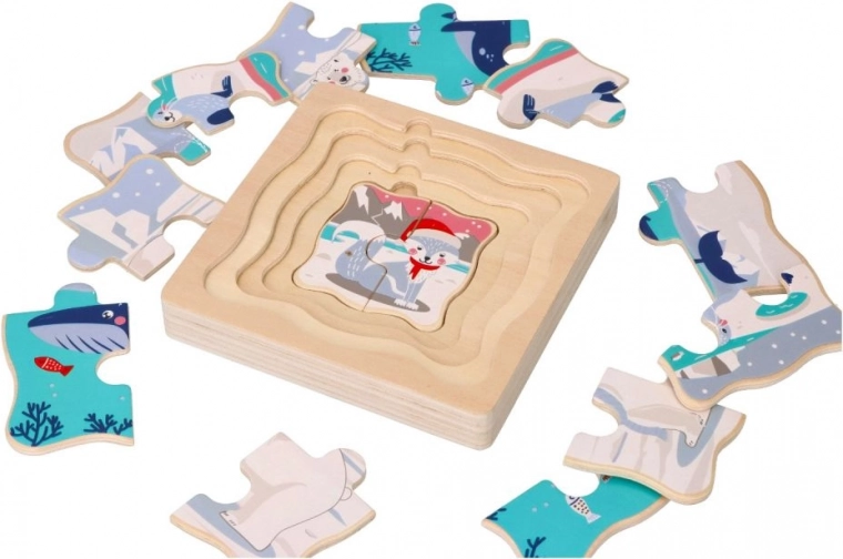 Вълнуваща арктическа тематика