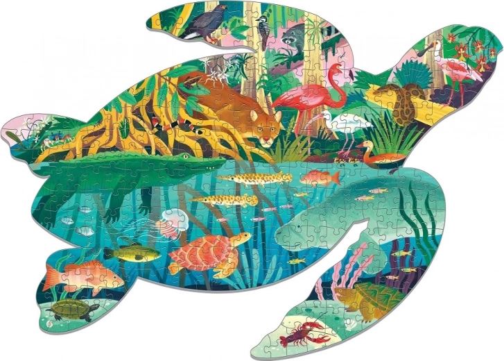 Iconic turtle shape and vivid wetlands illustrations