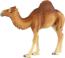 Страхотна за обучение и колекции