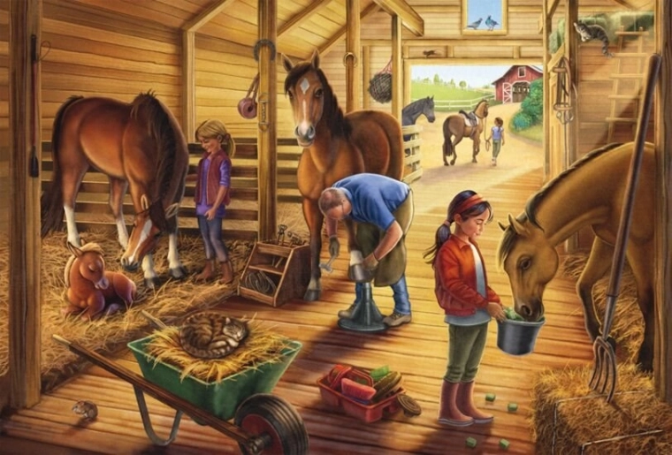 Life in the stable up close