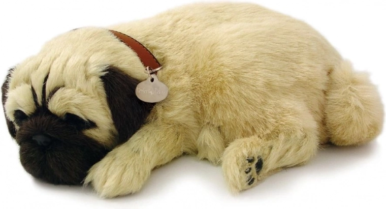 Вярно изпълнение на мопс