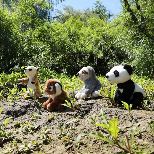 Колекция любими животни