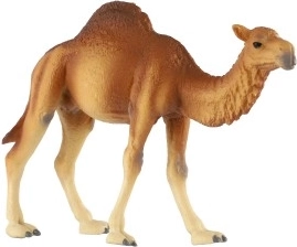 Реалистични детайли на пустинния великан