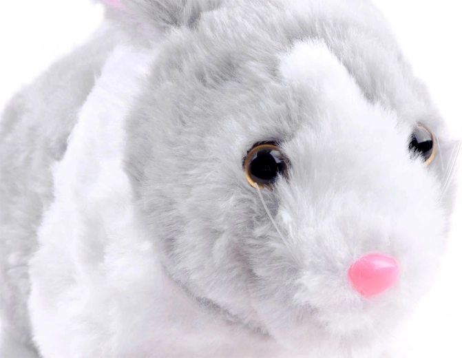 Мек и гушлив плюш