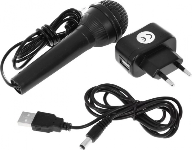 Microphone with USB Charger